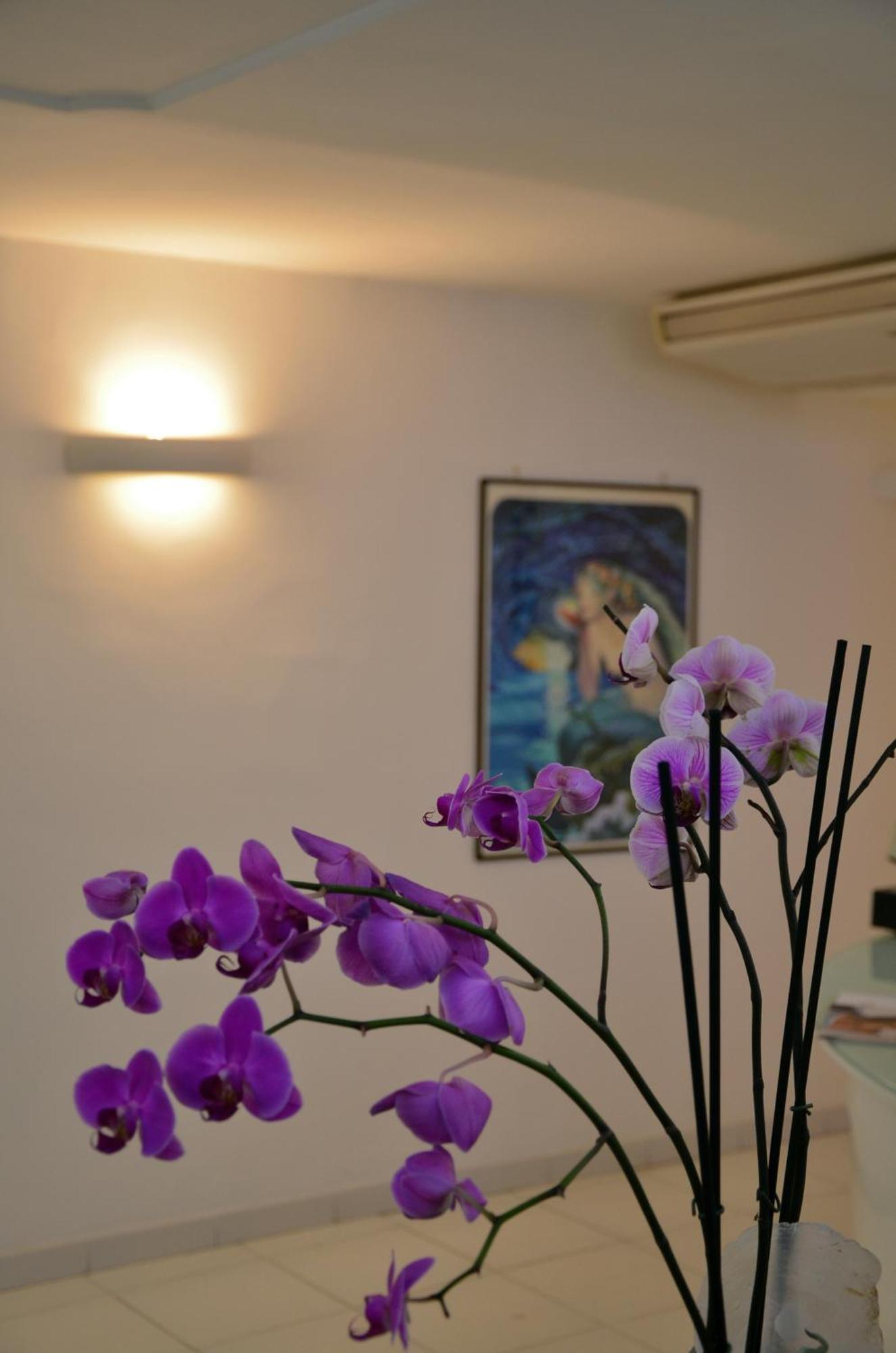 Albergo Gatto Bianco Capri Exterior photo