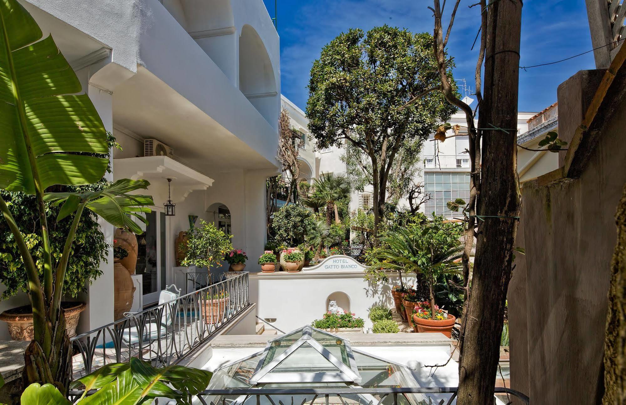 Albergo Gatto Bianco Capri Exterior photo